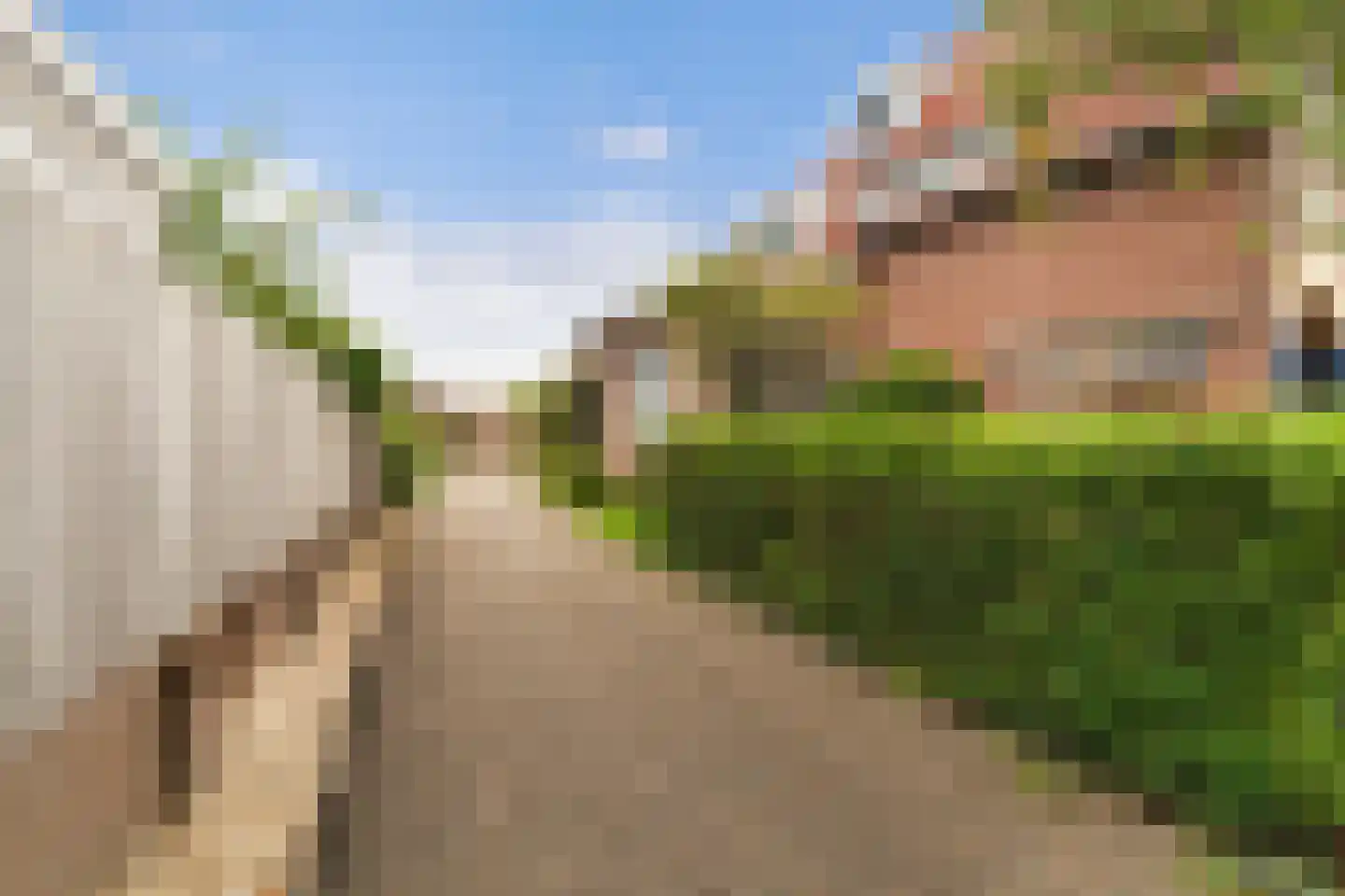 Wateringseweg 63 Poeldijk thumbnail 62