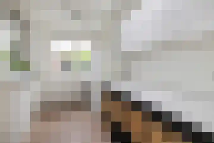 Waterinkweg 32 Lemelerveld thumbnail 14