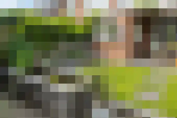 Waterinkweg 32 Lemelerveld thumbnail 28