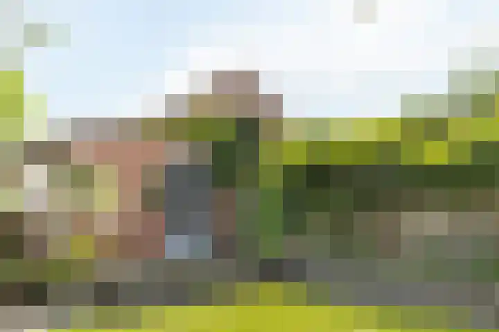 Waterinkweg 32 Lemelerveld thumbnail 30