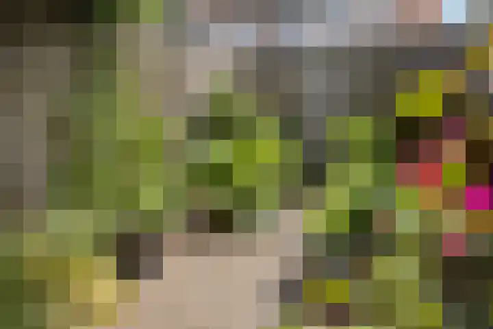 Waterinkweg 32 Lemelerveld thumbnail 31