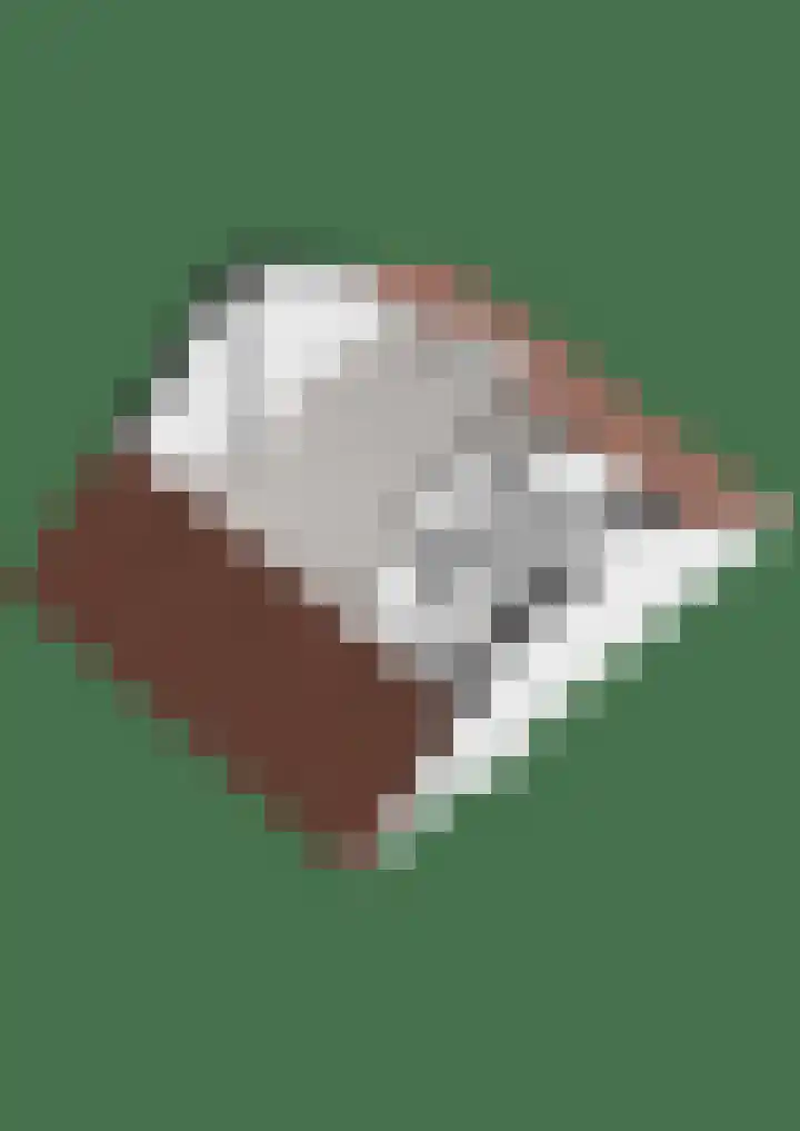 Waterinkweg 32 Lemelerveld thumbnail 37