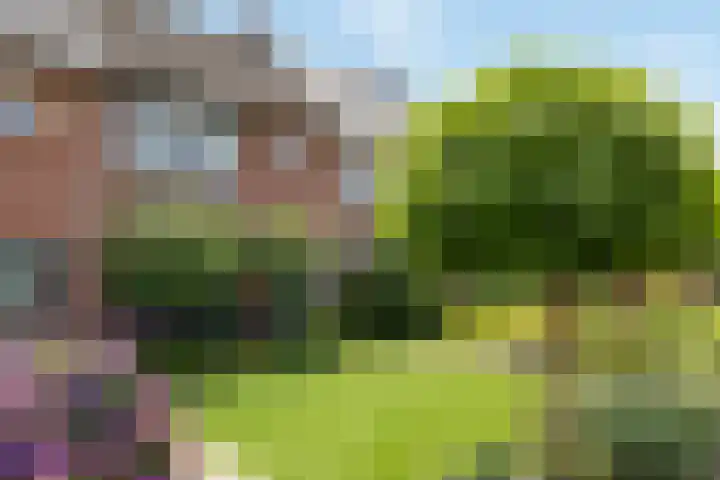 Waterinkweg 32 Lemelerveld thumbnail 4