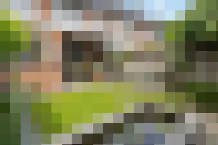 Waterinkweg 32 Lemelerveld thumbnail 6