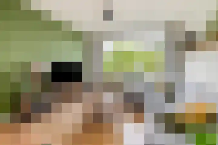 Waterinkweg 32 Lemelerveld thumbnail 7
