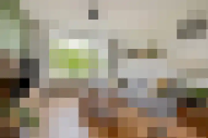 Waterinkweg 32 Lemelerveld thumbnail 8