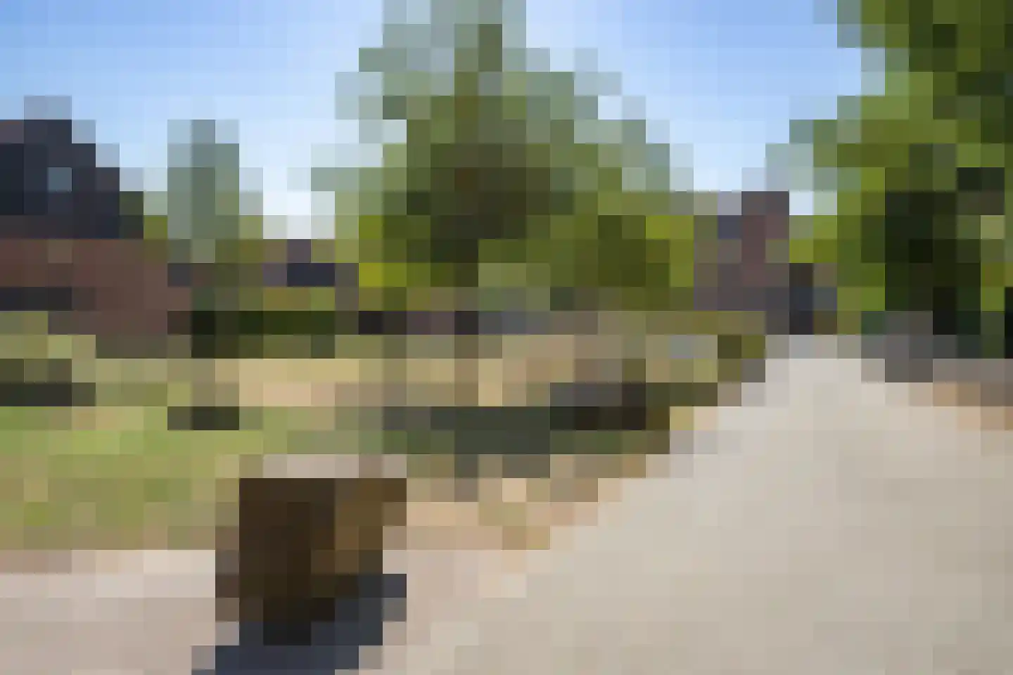 Waterjuffer 10 Enschede thumbnail 36
