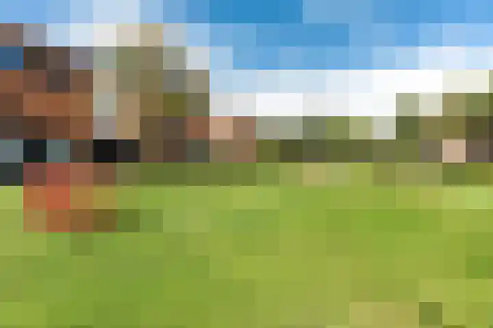 Waterjuffer 12 Enschede thumbnail 33