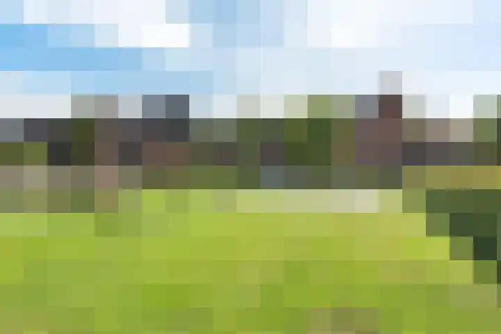 Waterjuffer 12 Enschede thumbnail 34