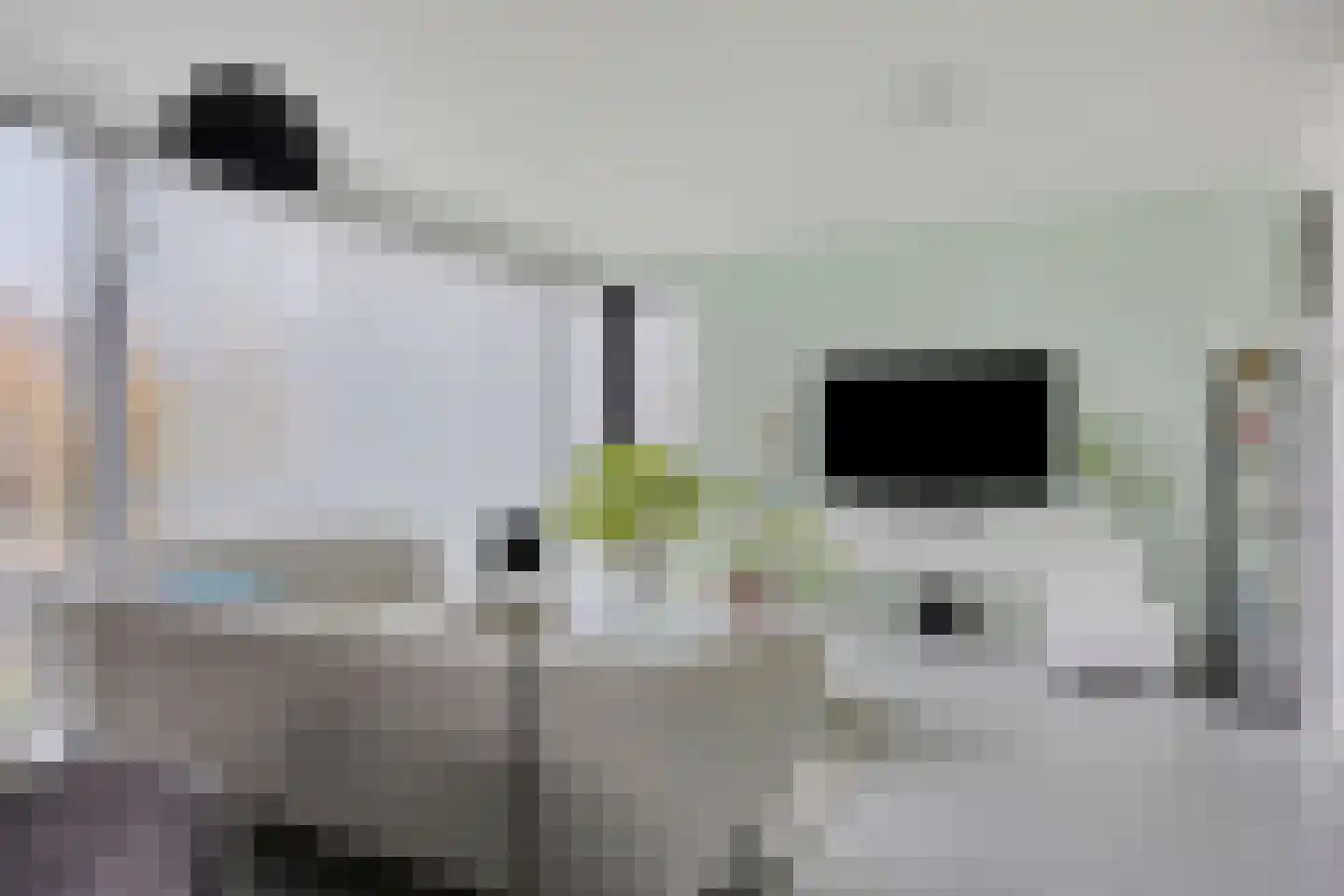 Waterjuffer 2 Son en Breugel thumbnail 12