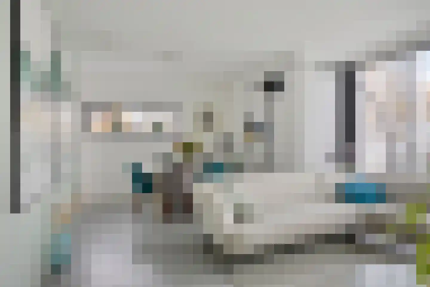 Waterjuffer 2 Son en Breugel thumbnail 14