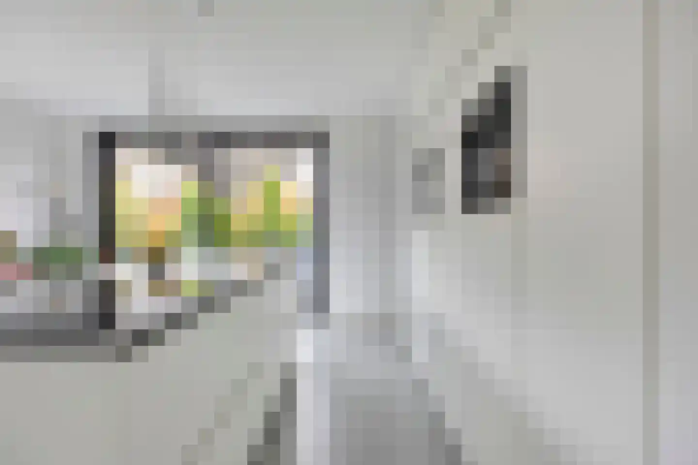 Waterjuffer 2 Son en Breugel thumbnail 24