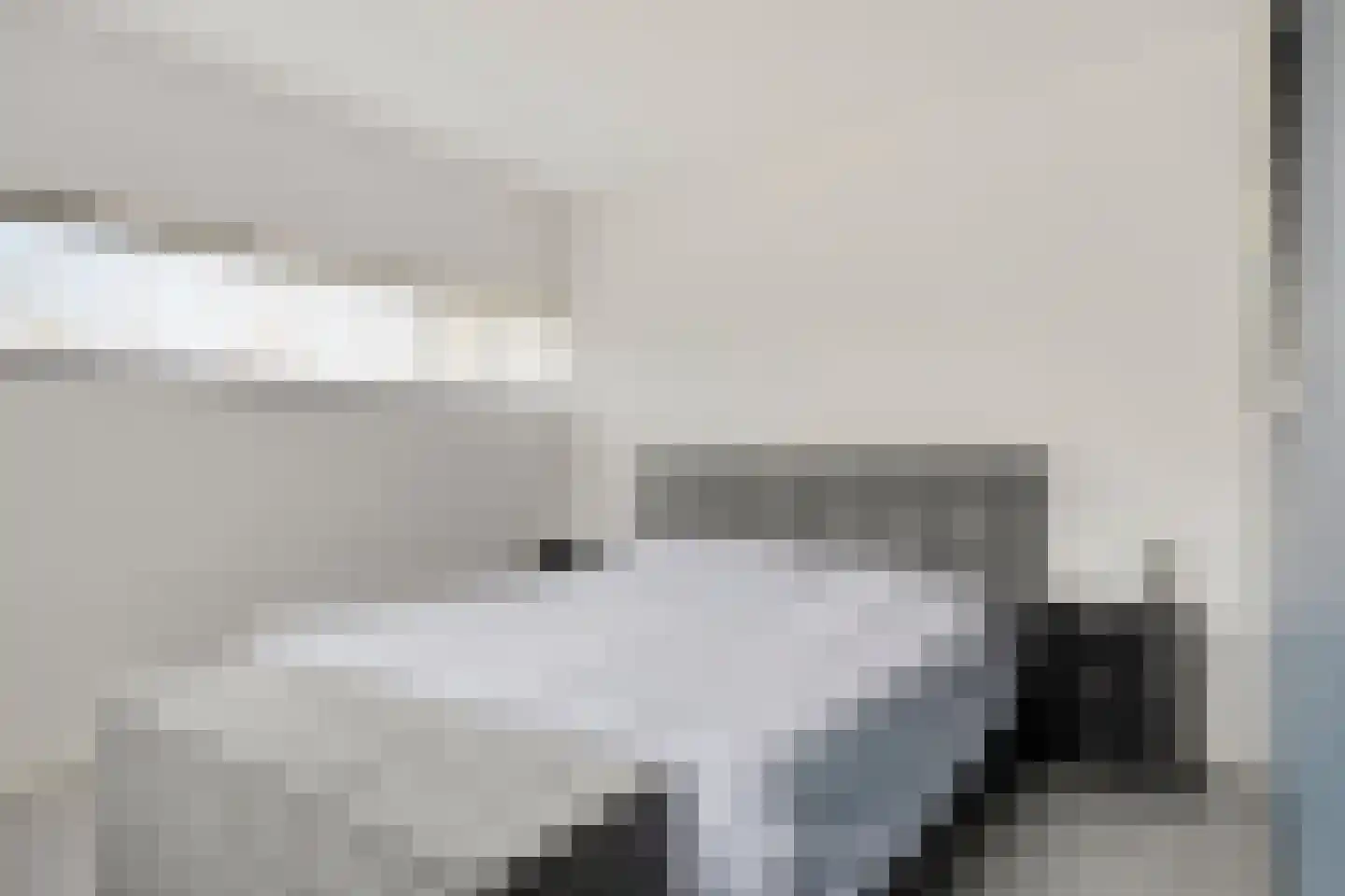 Waterjuffer 2 Son en Breugel thumbnail 37