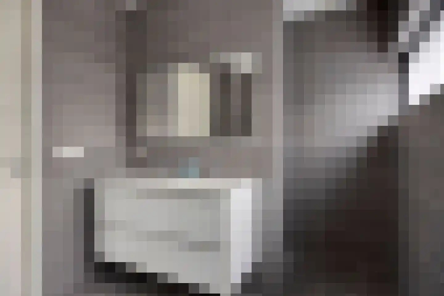 Waterjuffer 2 Son en Breugel thumbnail 43