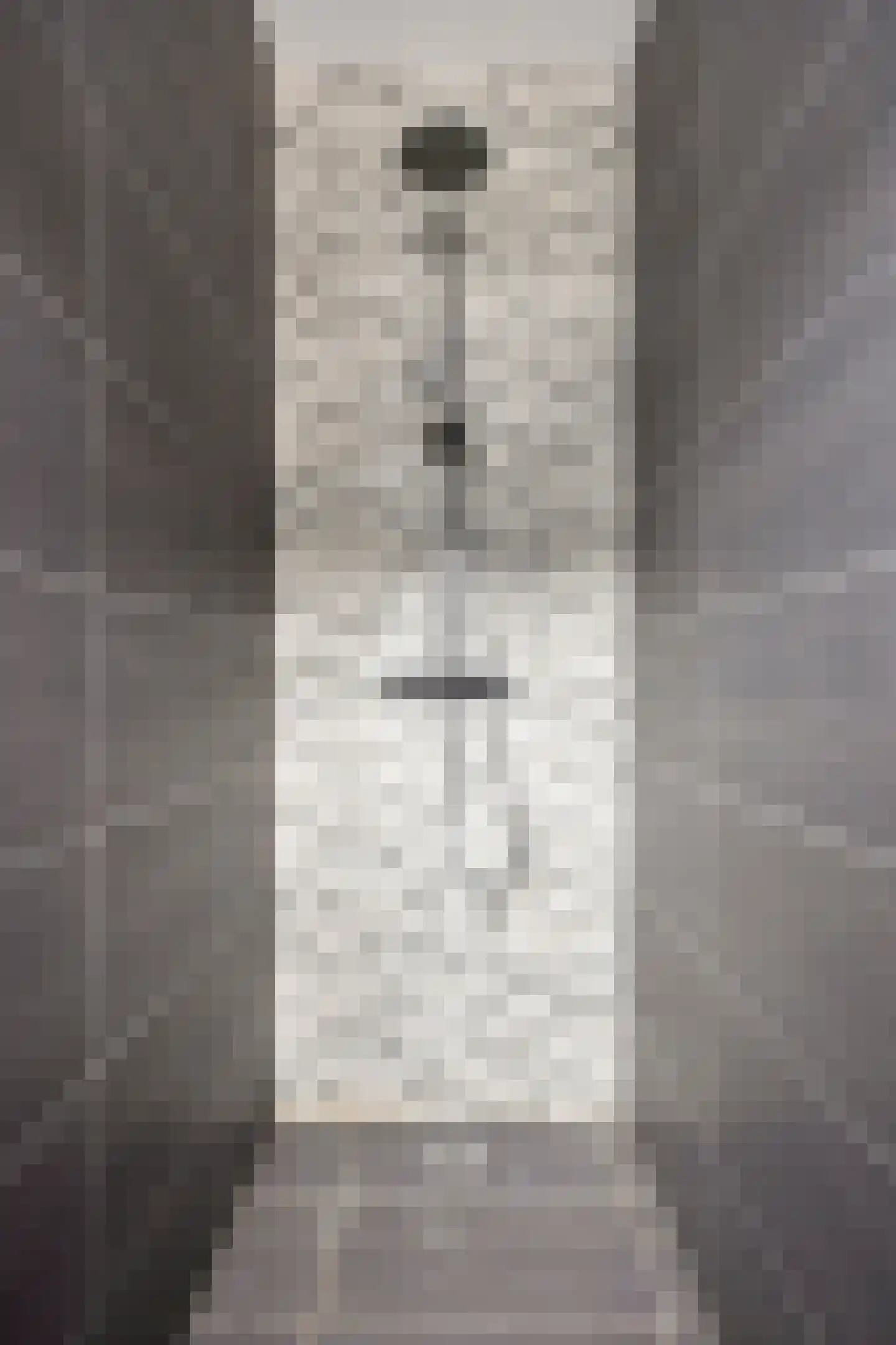 Waterjuffer 2 Son en Breugel thumbnail 44