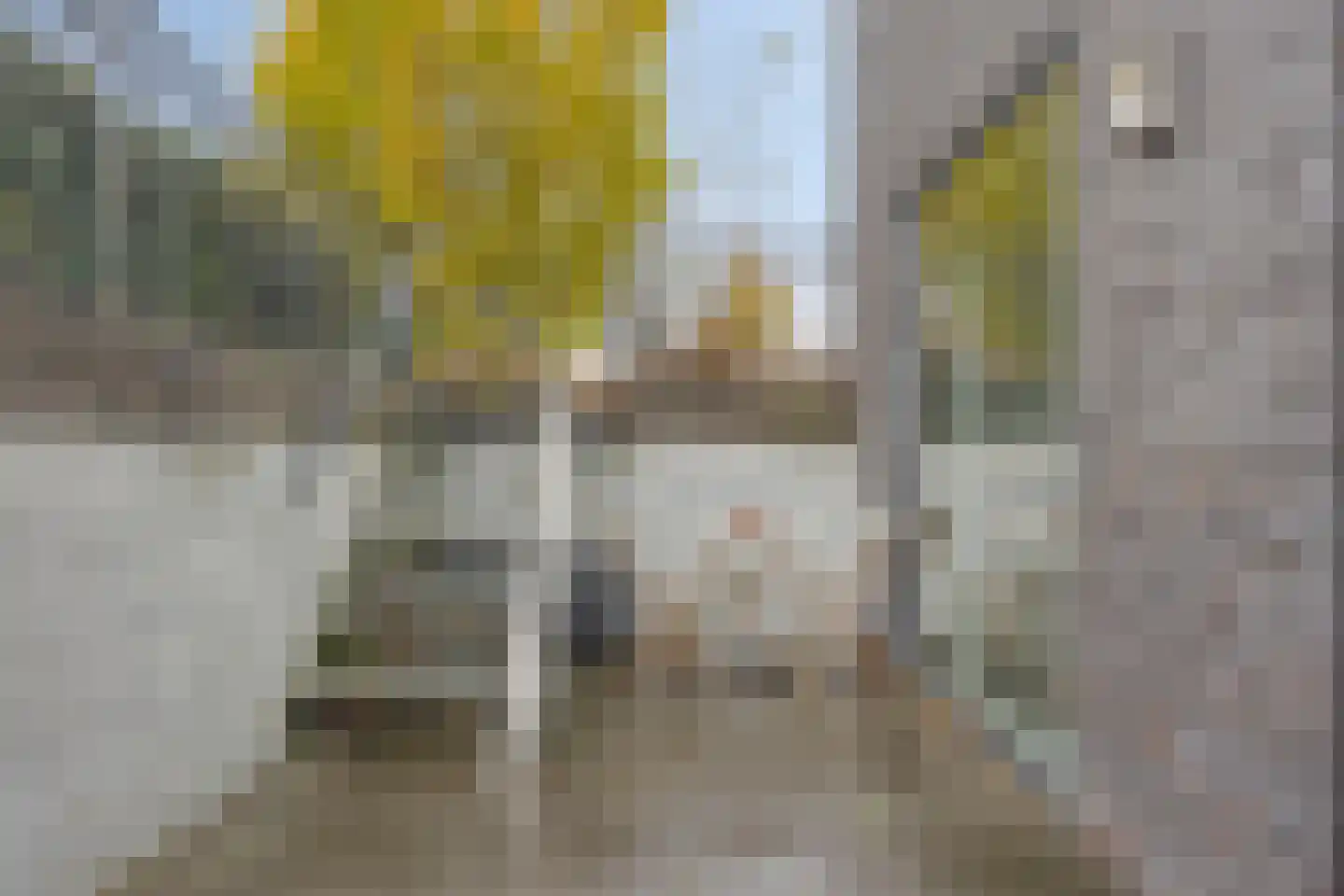 Waterjuffer 2 Son en Breugel thumbnail 52