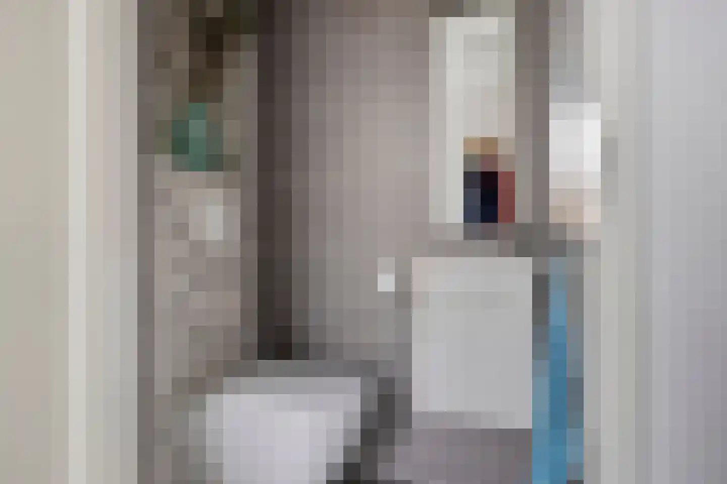 Waterjuffer 2 Son en Breugel thumbnail 9