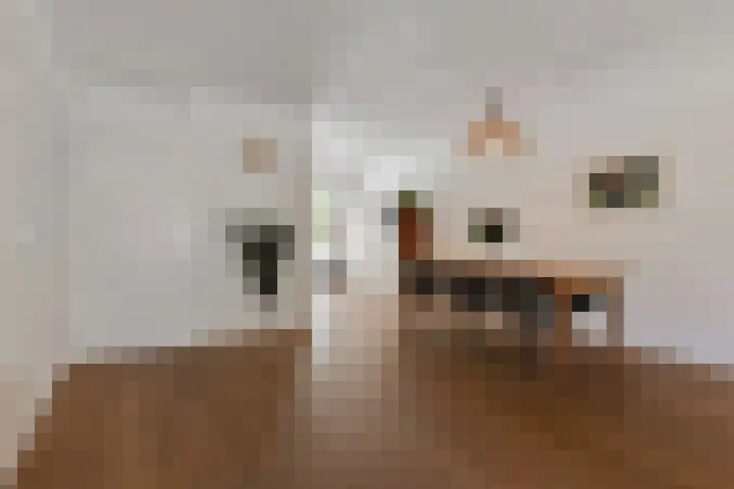 Waterjufferhof 18 Den Haag thumbnail 14
