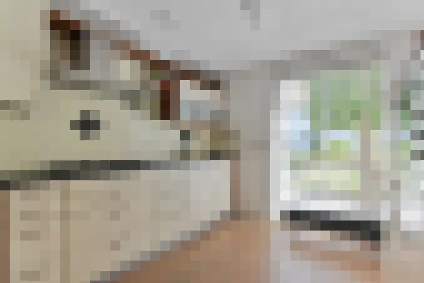 Waterjufferhof 18 Den Haag thumbnail 19