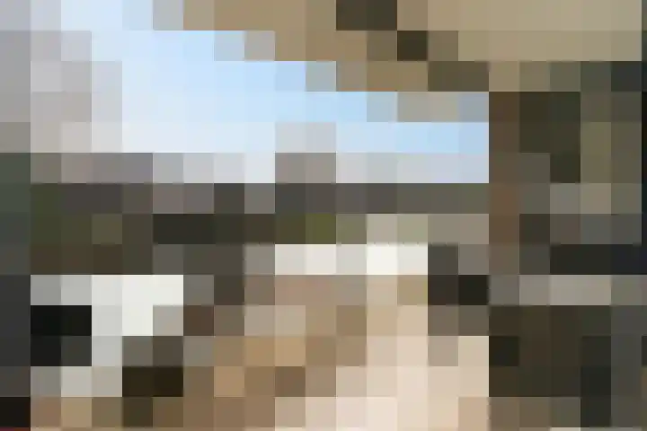 Waterjuffermeent 16 Hilversum thumbnail 15