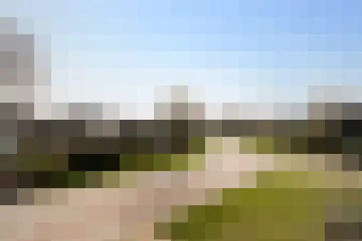 Waterjuffermeent 16 Hilversum thumbnail 17