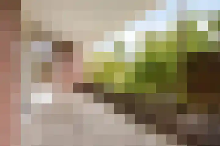 Waterjuffermeent 2 Hilversum thumbnail 10