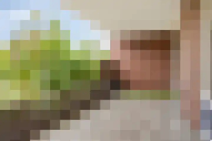 Waterjuffermeent 2 Hilversum thumbnail 12