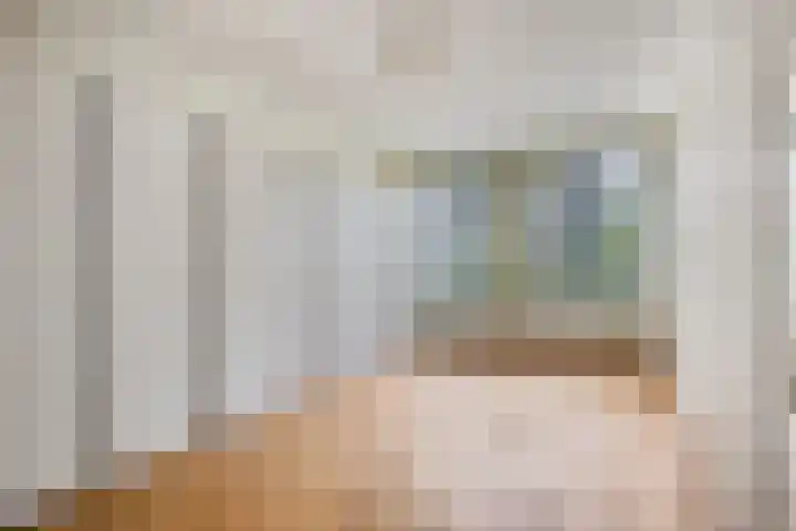 Waterjuffermeent 2 Hilversum thumbnail 13