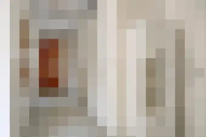 Waterjuffermeent 2 Hilversum thumbnail 20