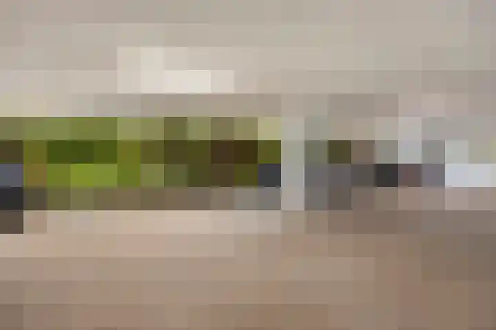 Waterjuffermeent 2 Hilversum thumbnail 22