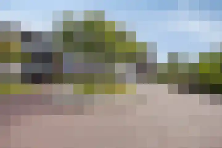 Waterjuffermeent 2 Hilversum thumbnail 23