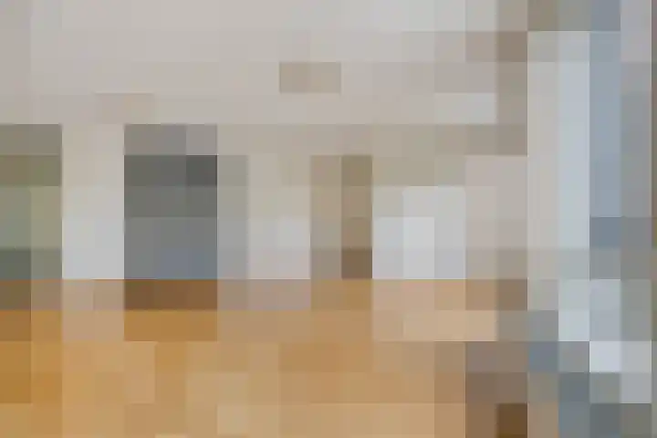 Waterjuffermeent 2 Hilversum thumbnail 6