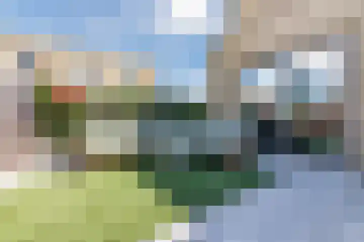Waterjufferpad 6 Heerhugowaard thumbnail 39