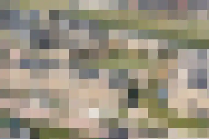 Waterjufferpad 6 Heerhugowaard thumbnail 52