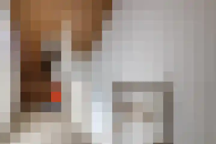 Waterkant 14 Geldermalsen thumbnail 15