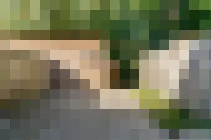 Waterkant 14 Geldermalsen thumbnail 18