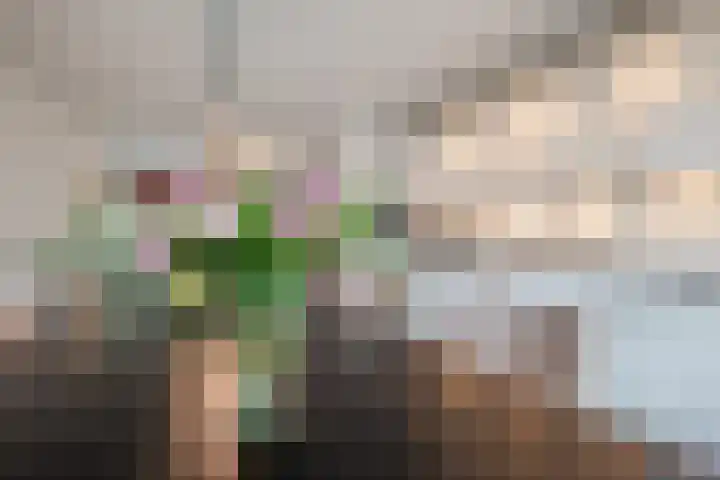 Waterkant 14 Oude Pekela thumbnail 11