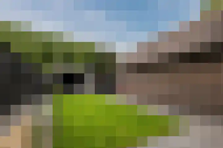 Waterkant 14 Oude Pekela thumbnail 29