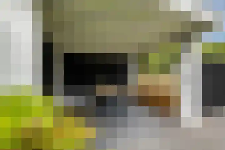 Waterkant 14 Oude Pekela thumbnail 32