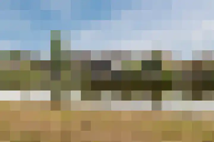 Waterkant 14 Oude Pekela thumbnail 33