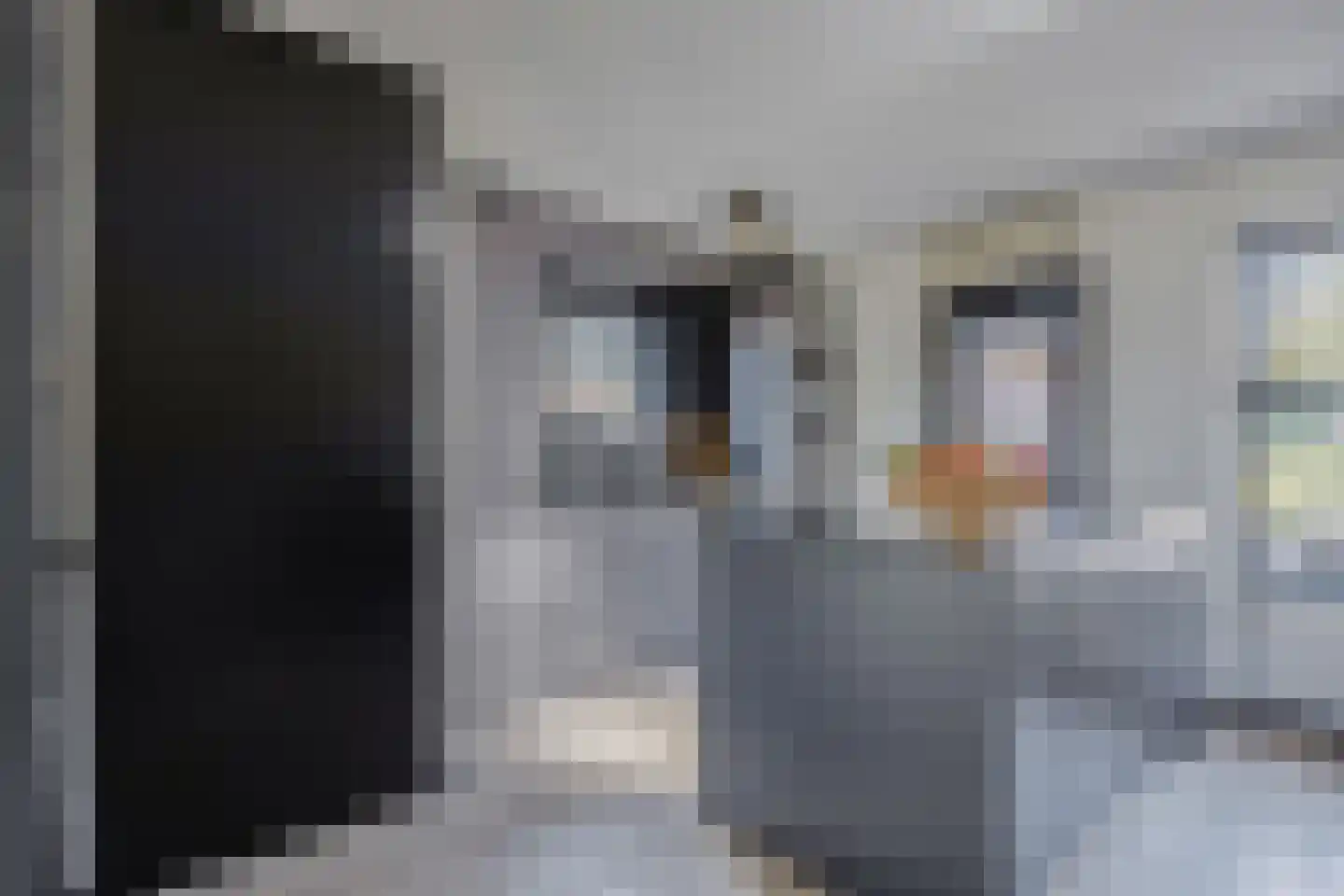 Waterkant 26 Oude Pekela thumbnail 14