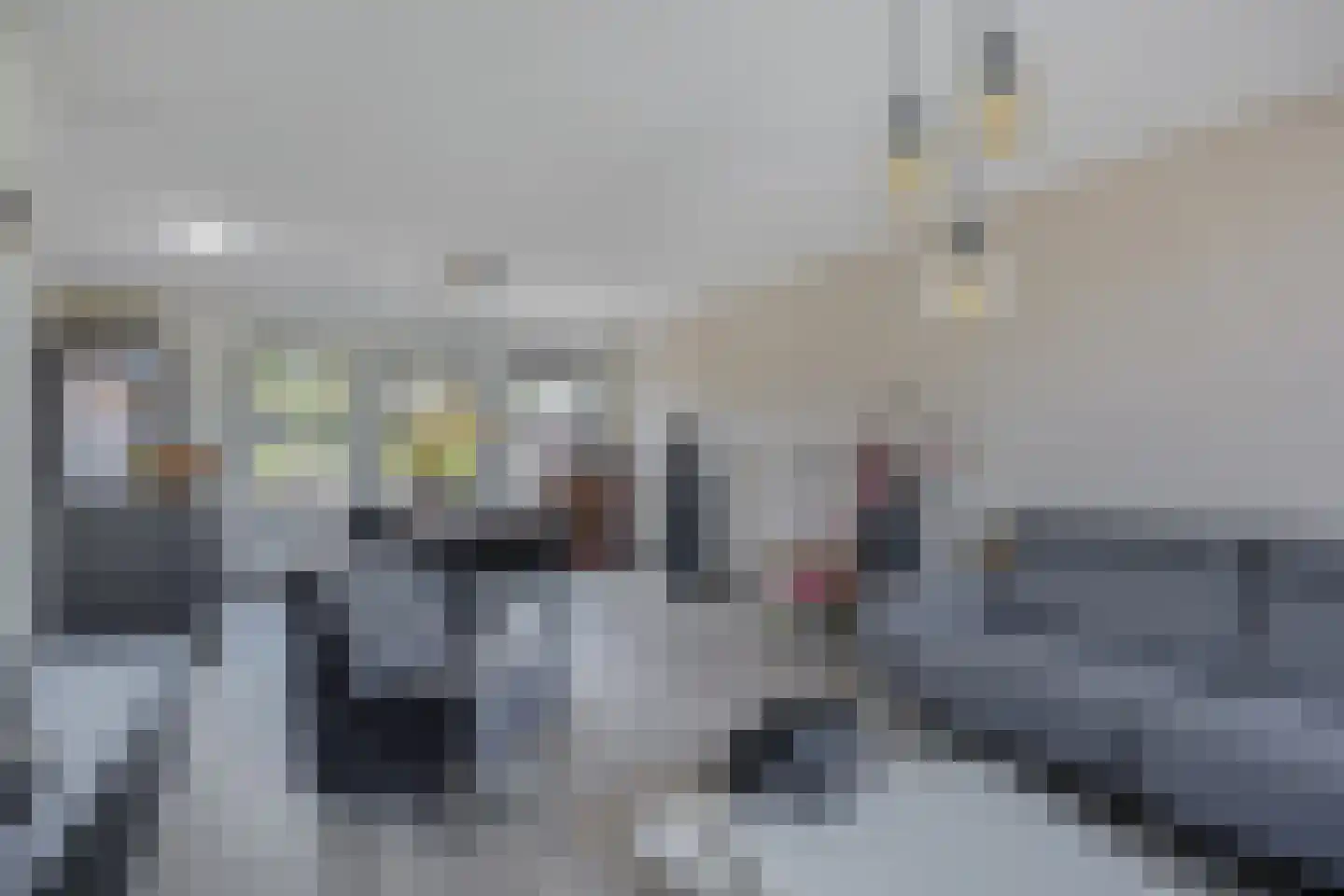 Waterkant 26 Oude Pekela thumbnail 24