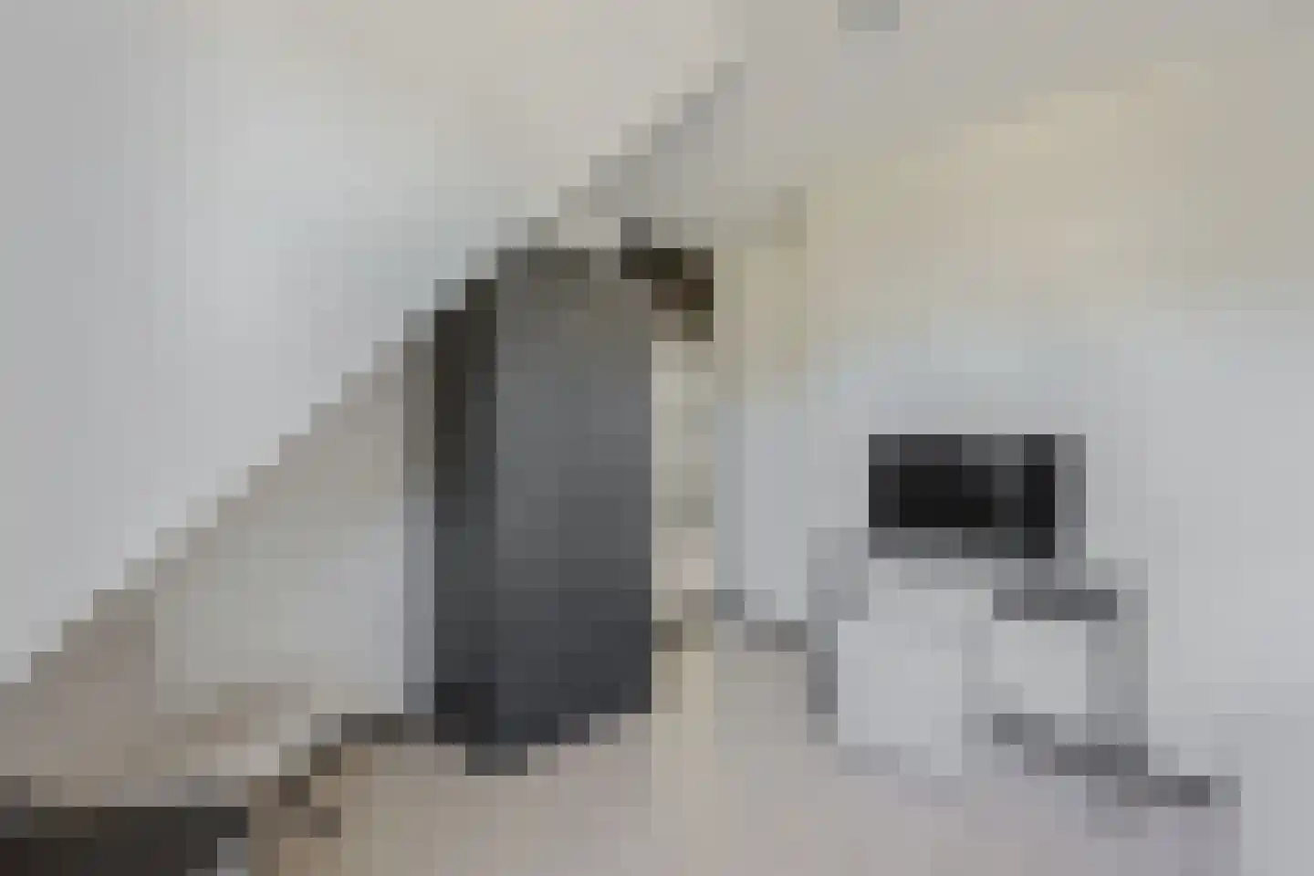 Waterkant 26 Oude Pekela thumbnail 32