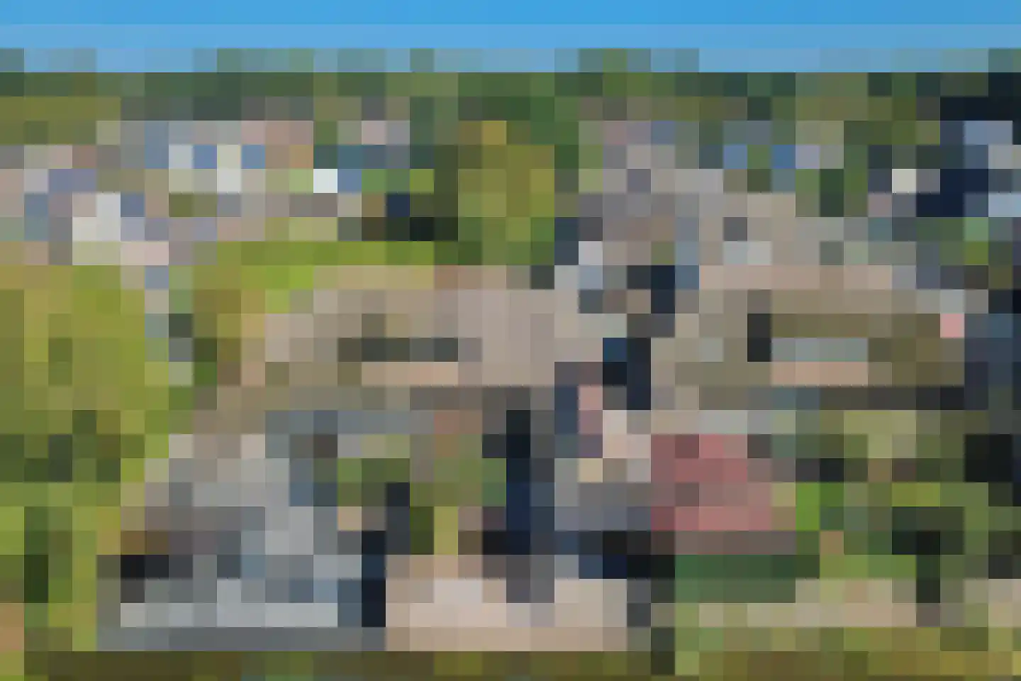 Waterkant 26 Oude Pekela thumbnail 5