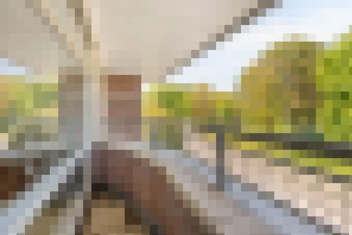 Waterkant 37 Biddinghuizen thumbnail 27