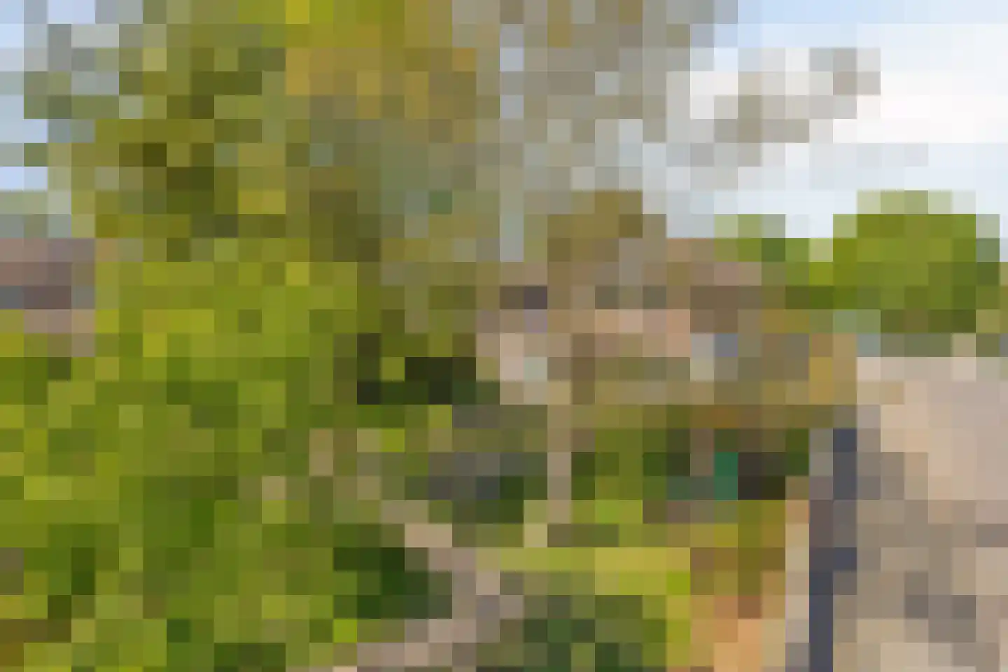 Waterkant 37 Biddinghuizen thumbnail 42