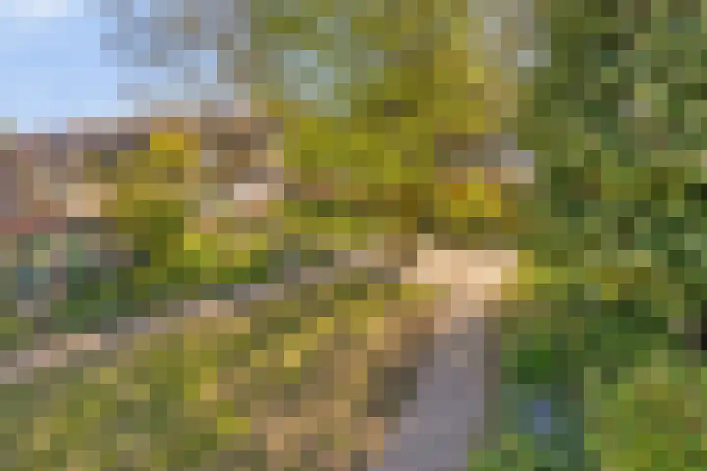Waterkant 37 Biddinghuizen thumbnail 46