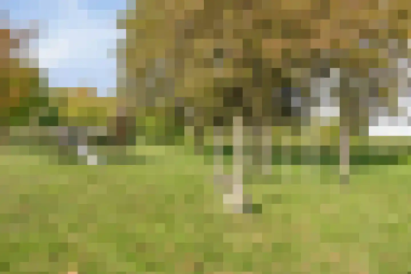Waterkant 37 Biddinghuizen thumbnail 53