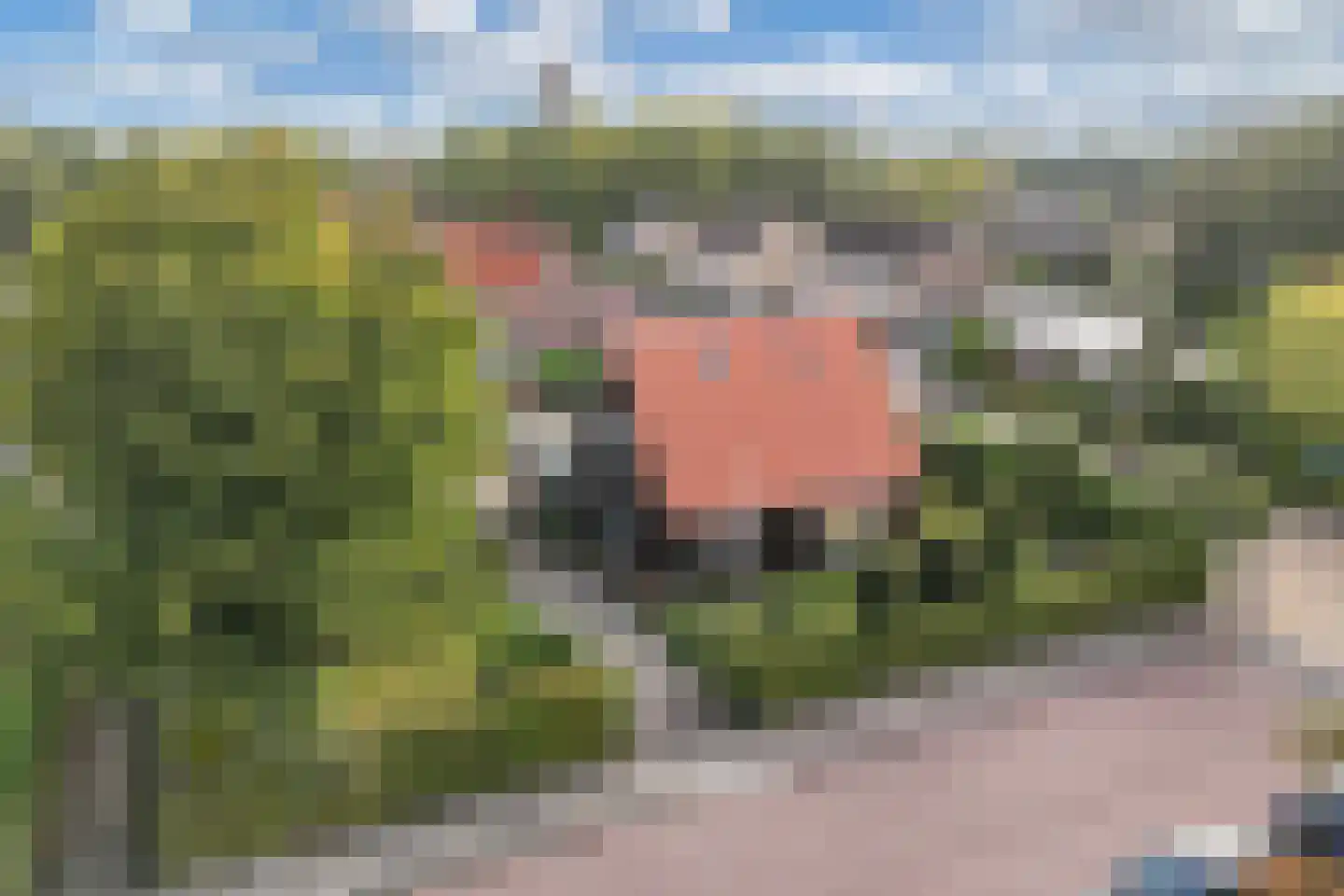 Waterkant 73 Ens thumbnail 13