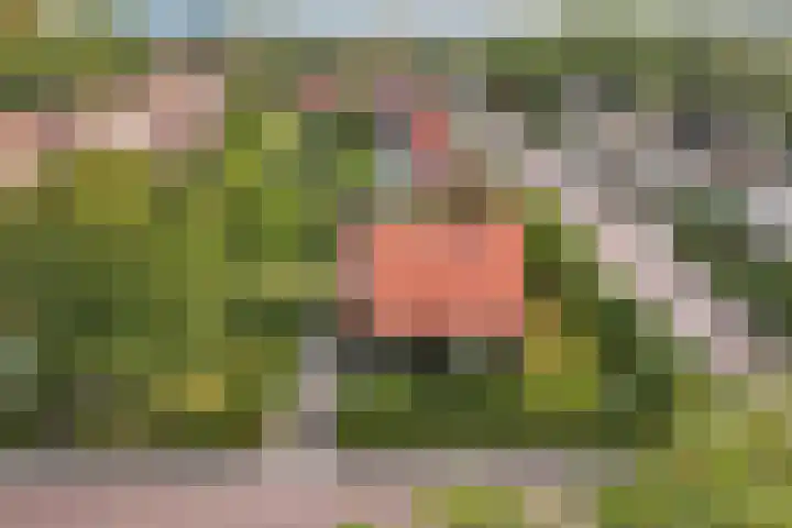 Waterkant 73 Ens thumbnail 14